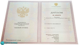 Купить диплом строителя в Москве